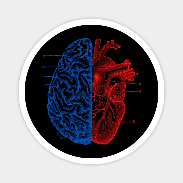 Heart and Brain Magnet by Tobe_Fonseca